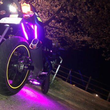 大観峰で撮影されたW800の画像