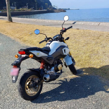 宇土綱田海岸で撮影されたGROMの画像