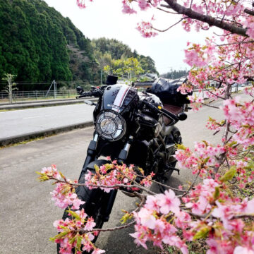 臼杵市で撮影されたSV650Xの画像