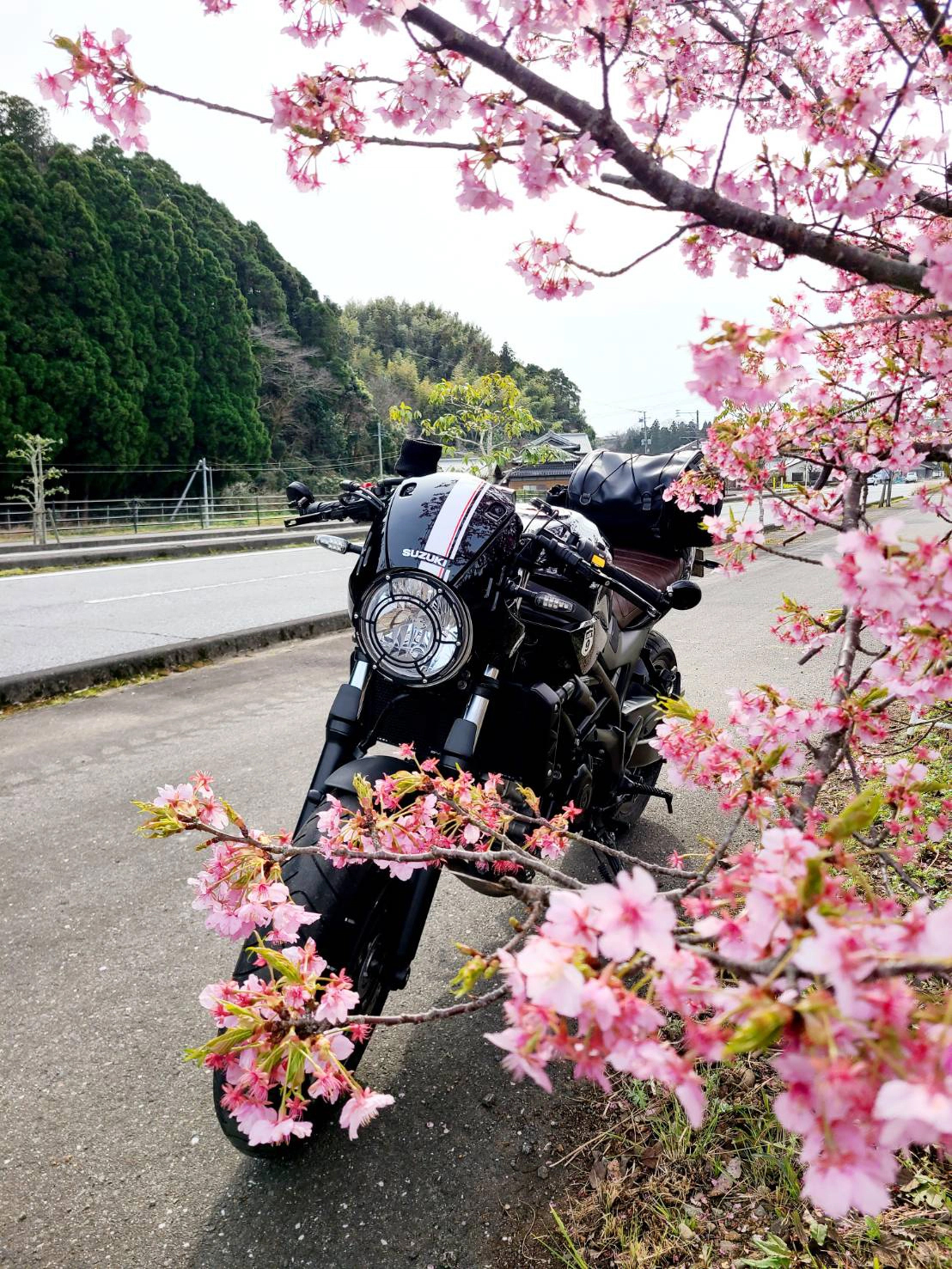 臼杵市で撮影されたSV650Xの画像