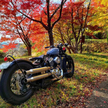 菊池神社参道で撮影されたThunder250の画像