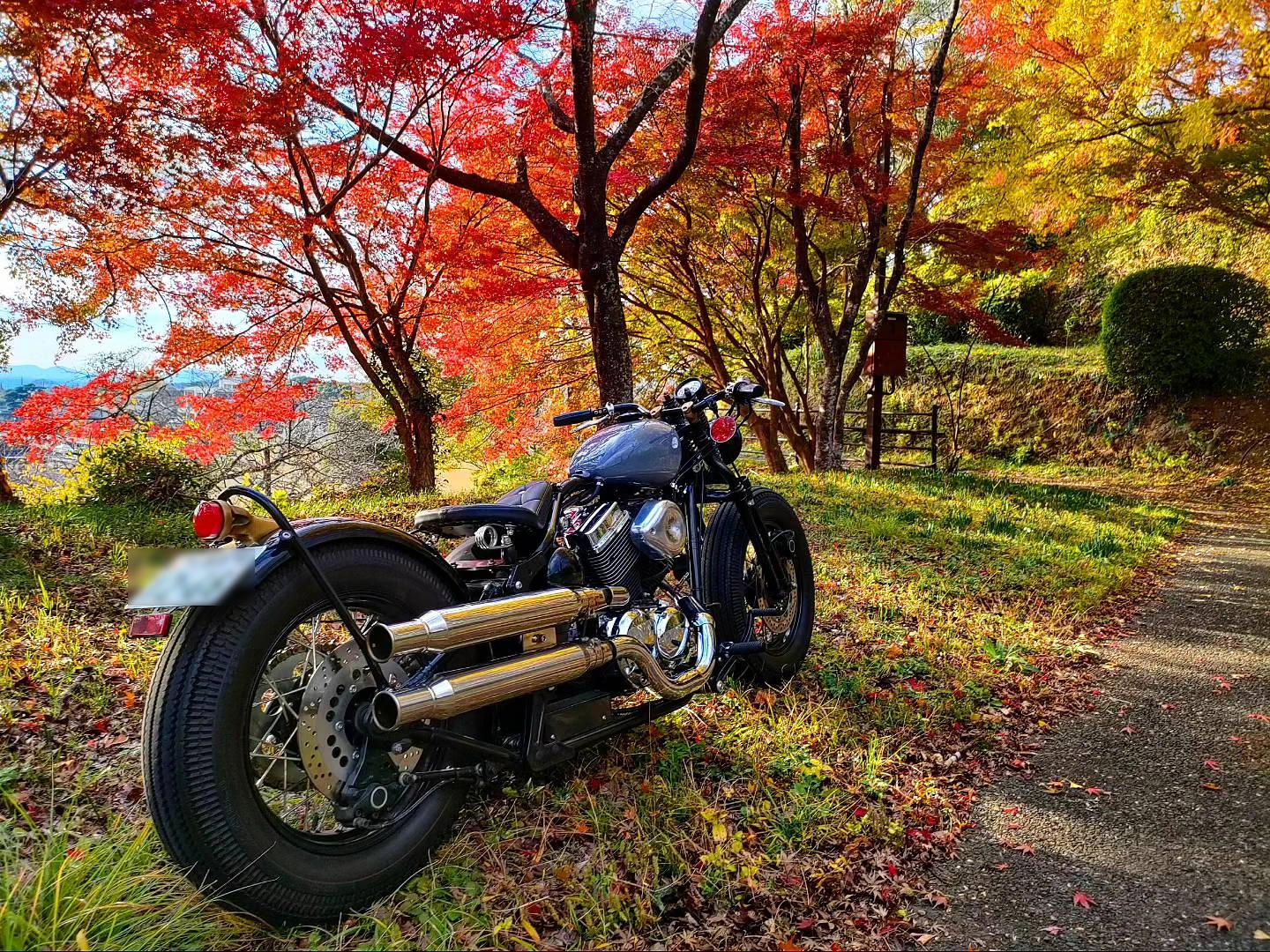 菊池神社参道で撮影されたThunder250の画像