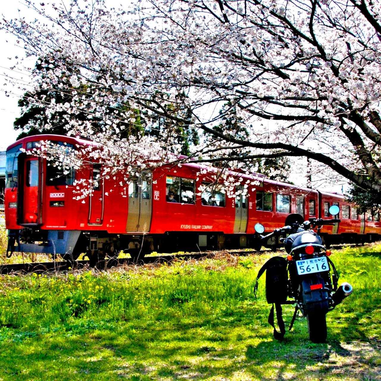 菊陽町で撮影されたLegend250Twinの画像