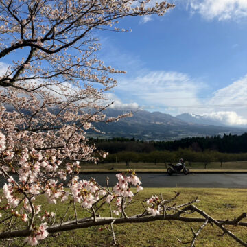 アスペクタの桜で撮影されたSV650の画像