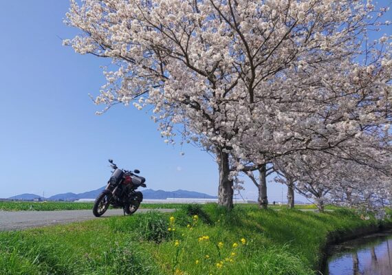 最優秀賞バイクの画像