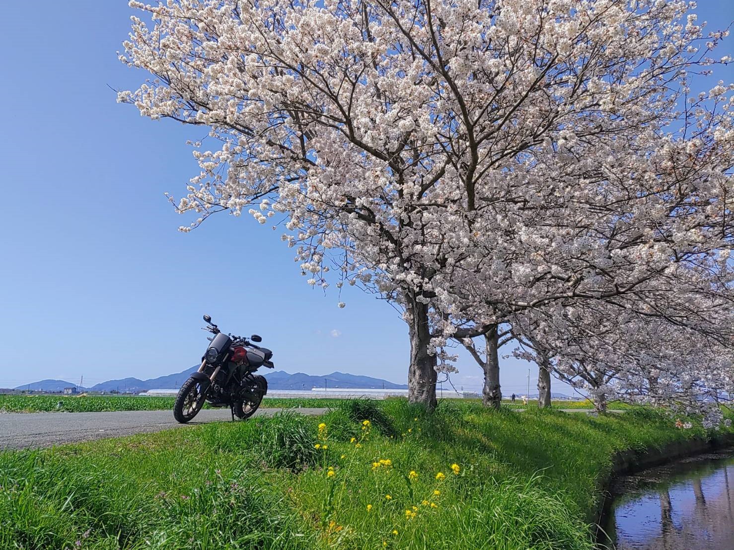 最優秀賞：嘉島町で撮影されたCB250Rの画像