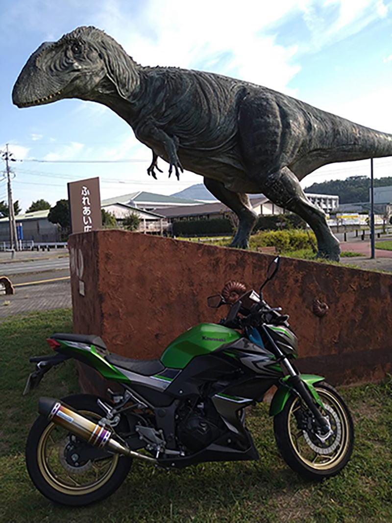 御船町で撮影されたZ250の画像