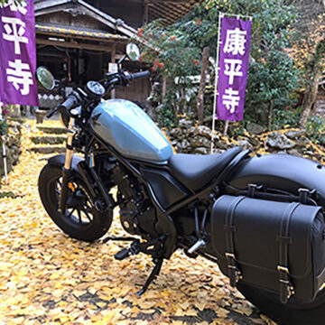 山鹿市鹿央町で撮影されたレブル250の画像