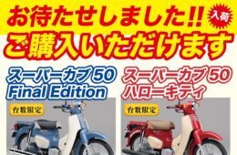 コラム：サムネイル画像