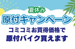 コラム：サムネイル画像